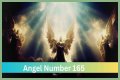 
ANGEL NUMBER 165
