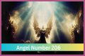 
ANGEL NUMBER 206
