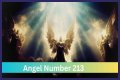 
ANGEL NUMBER 213

