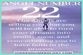 
ANGEL NUMBER 22
