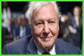 David Attenborough Net Worth, Age, Height, Bio, Birthday, Wiki!