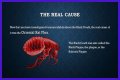 What Really Caused the Black Death: Anthrax or Celestial Bodies?